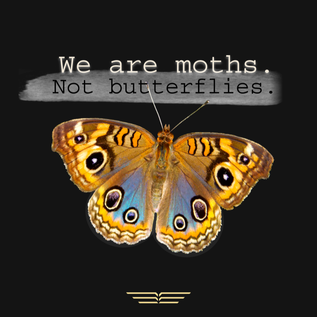 Quote: we are moths, not butterflies. Image of moth.